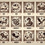 Astrologia Cinese Segni segni e significati